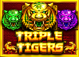 เข้าเล่น Triple Tigers : SLOTONE168