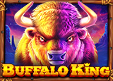 Buffalo King : PragmaticPlay
